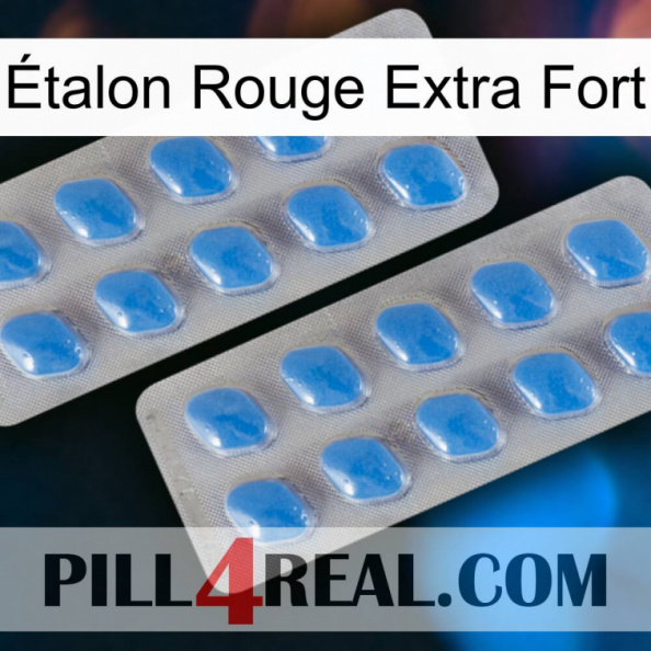 Étalon Rouge Extra Fort 23.jpg